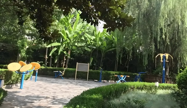 2025深圳落户打分细则_哈哈哈GM普通话还可以哦‼️有点惊喜 哈哈哈GM说介绍方淦